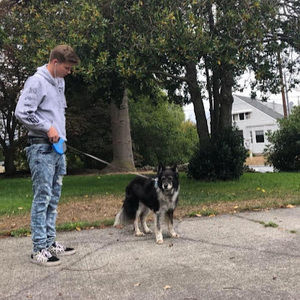 Meet your Posher, Lucien